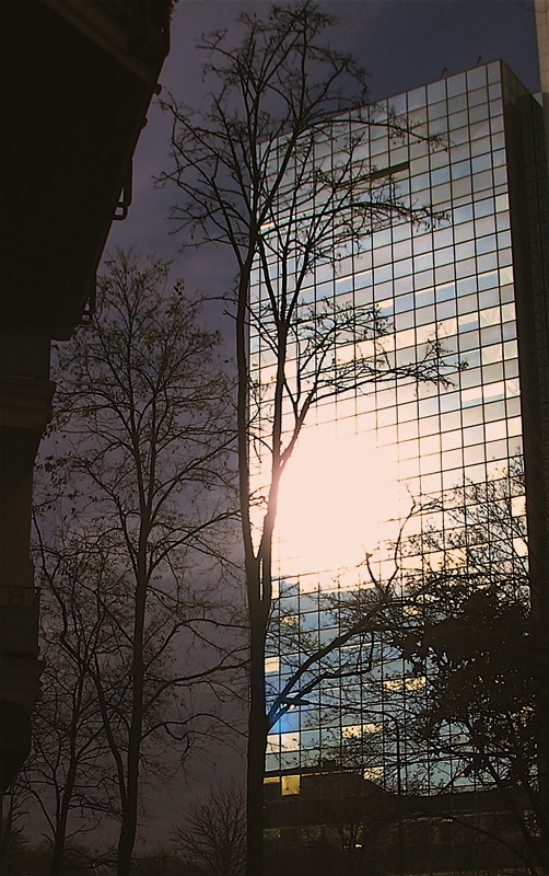 PB201125.JPG